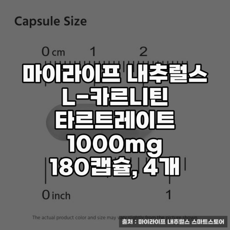  L-카르니틴의 효능과 선택 가이드
