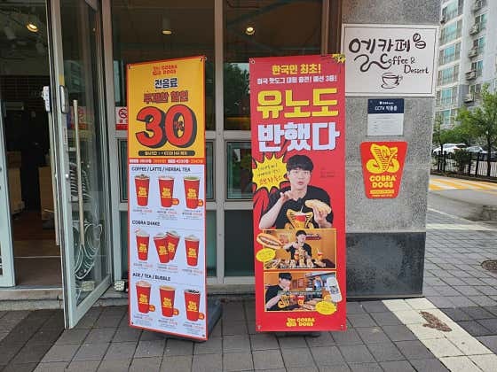 엘카페 사진 3