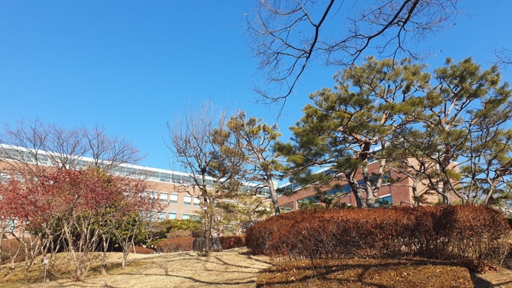  내가 닮고 싶은 사람 뜻, 단순한 존경이 아닌 삶의 가치관