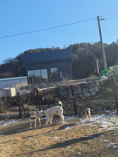 사진 6