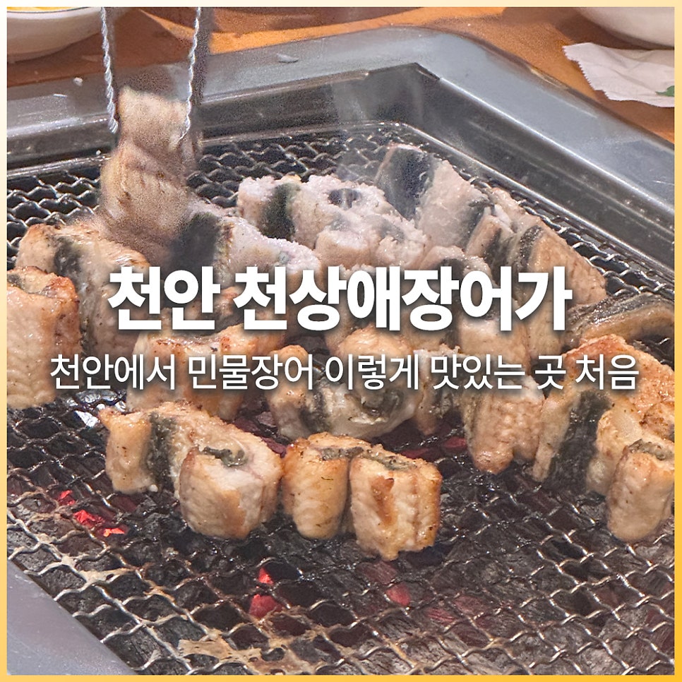 천상애장어가 천안성정점 사진 1