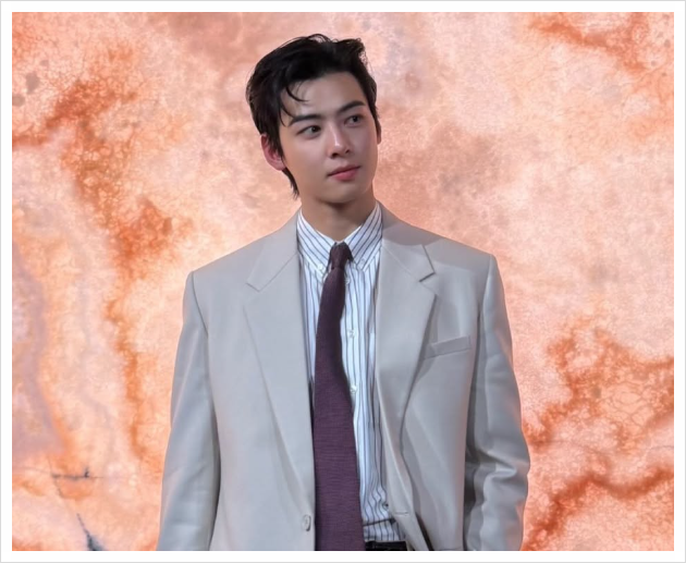 차은우 200억 탈세 의혹 매출로 얼마 벌었나 (feat 광고)