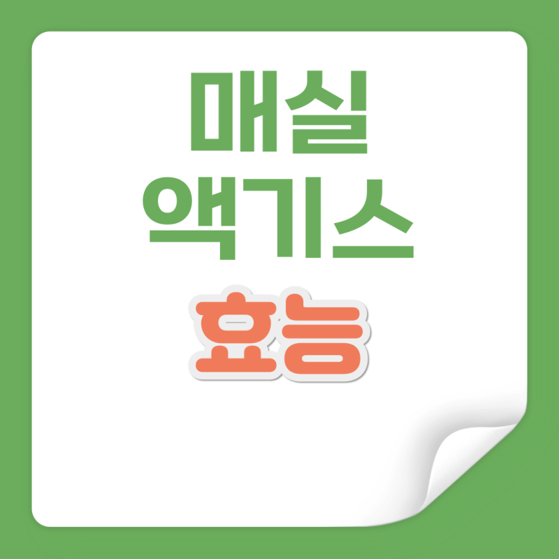 매실액기스 효능 및 보관방법 유효기간 정리