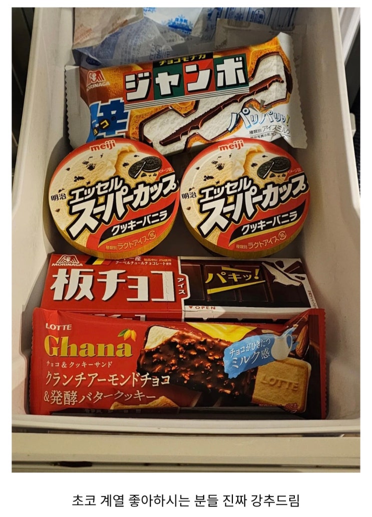  도쿄 생활 15년차의 최애 아이스크림 컬렉션.jpg