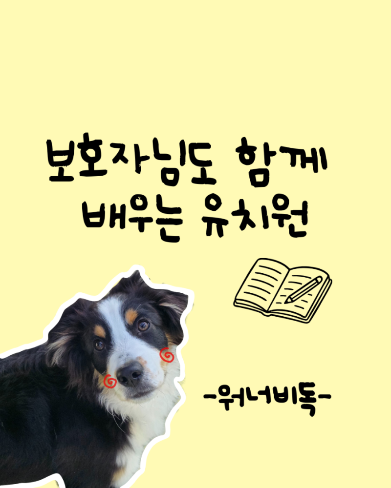 사진 7