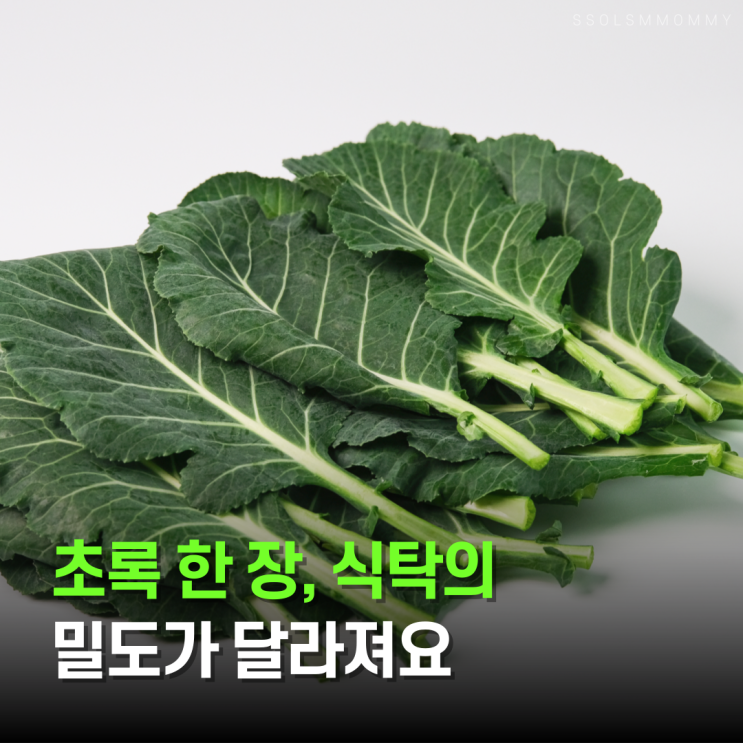  케일효능, 씁쓸한데도 찾는 이유가 있어요