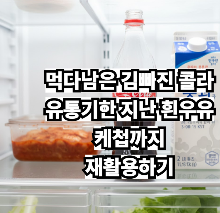 유통기한 지난 우유, 남은 콜라, 케첩! 버리면 손해 보는 활용방법