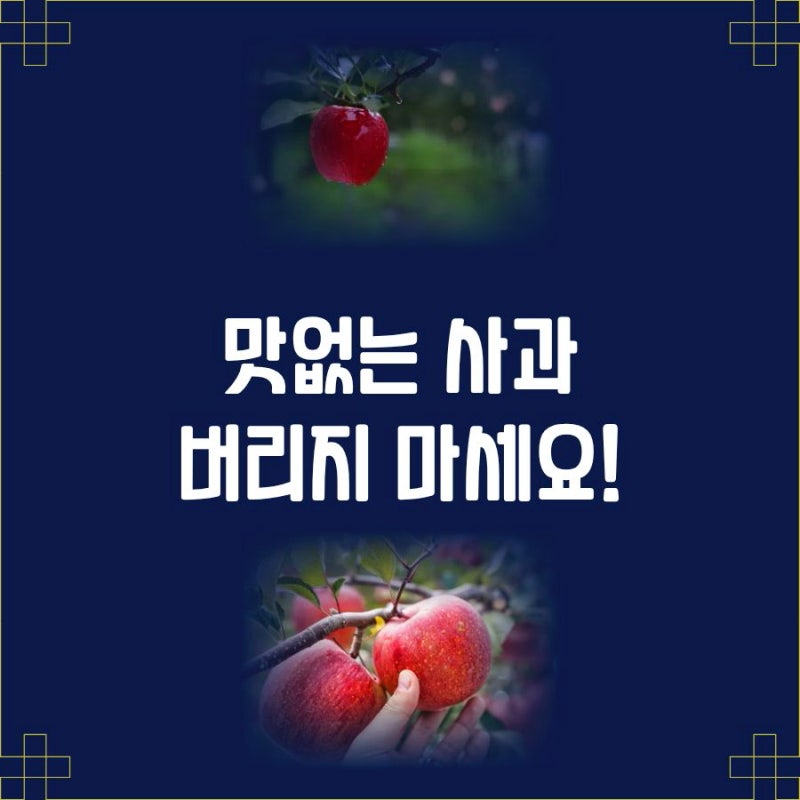 맛없는 사과 활용법 공개:시고 퍽퍽한 사과 처리하는 꿀팁