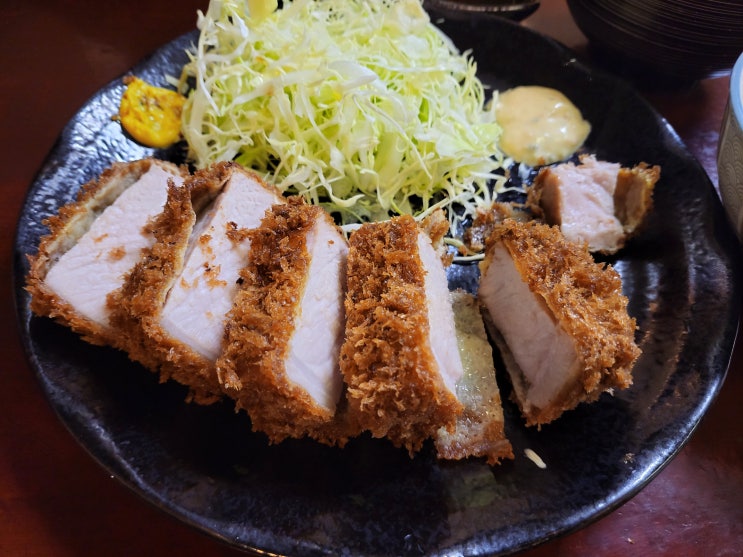  [일본] 시즈오카 자유여행 (맛집) - 후지역 인근 저녁식사 장소 두 곳(장어덮밥 - 우나하루, 돈까스 - 돈카츠 제로)