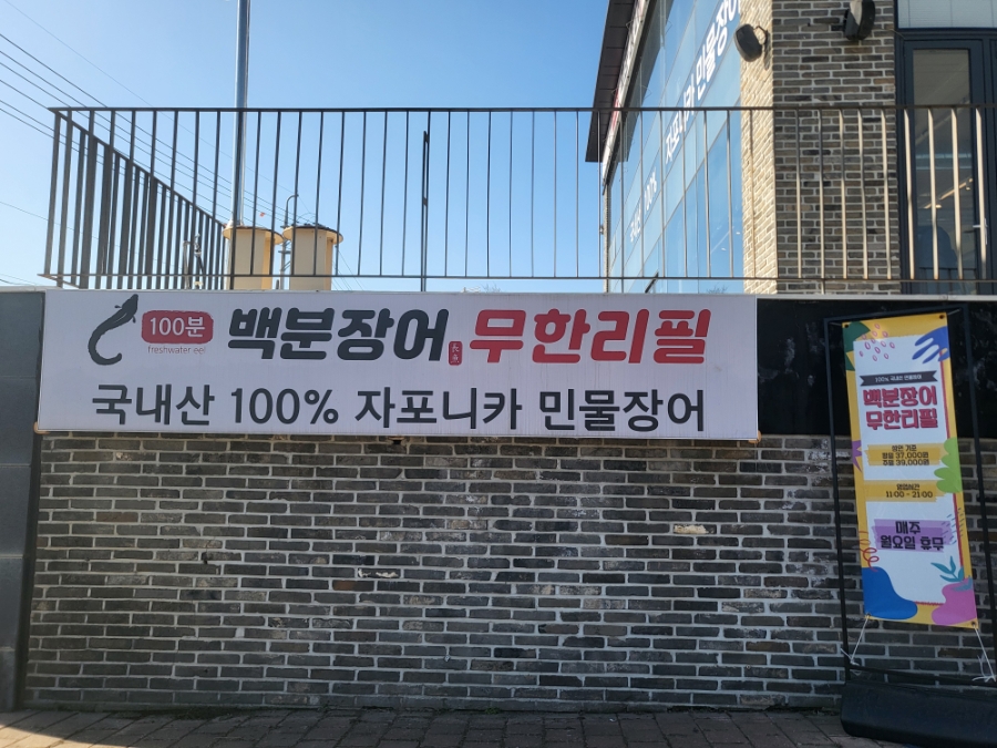 백분장어 사진 2