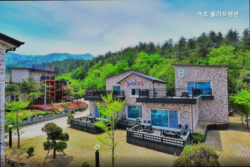 사진 2