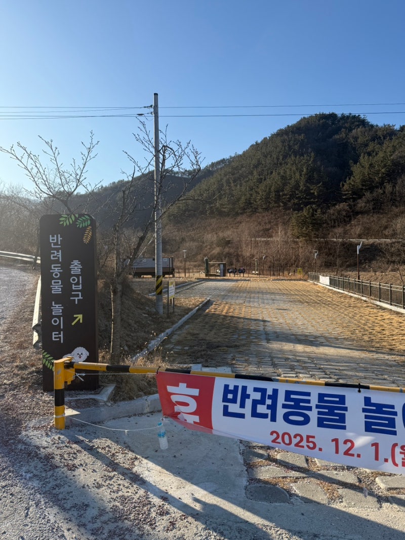 사진 3