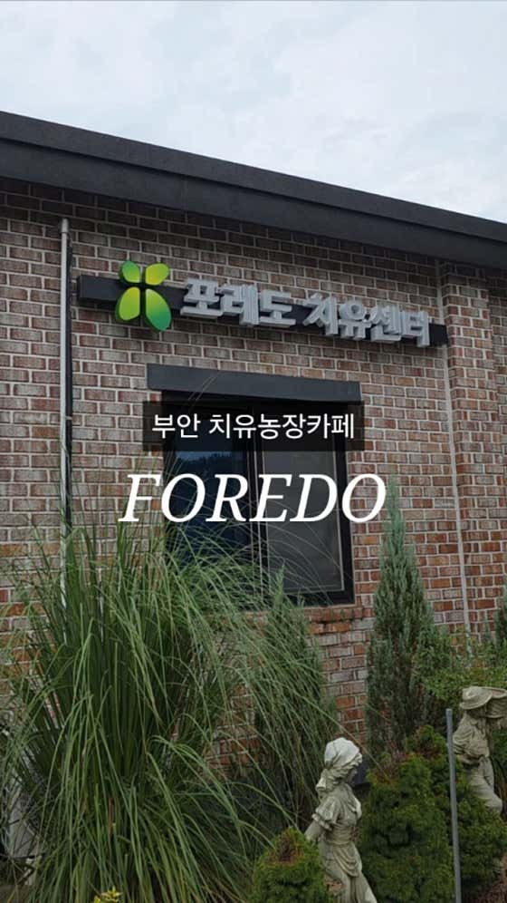 포레도 사진 4