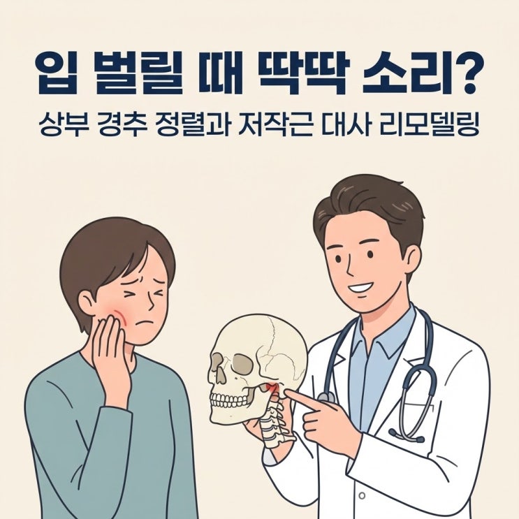  입 벌릴 때 딱딱 소리: 상부 경추 정렬과 저작근 대사 리모델링
