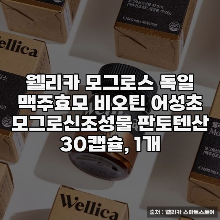  웰리카 모그로스 비오틴 효능과 효과