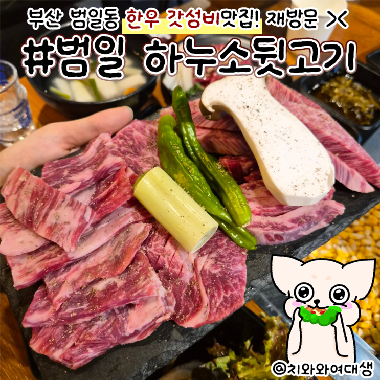  범일동 고기집 하누소뒷고기 점심 맛집