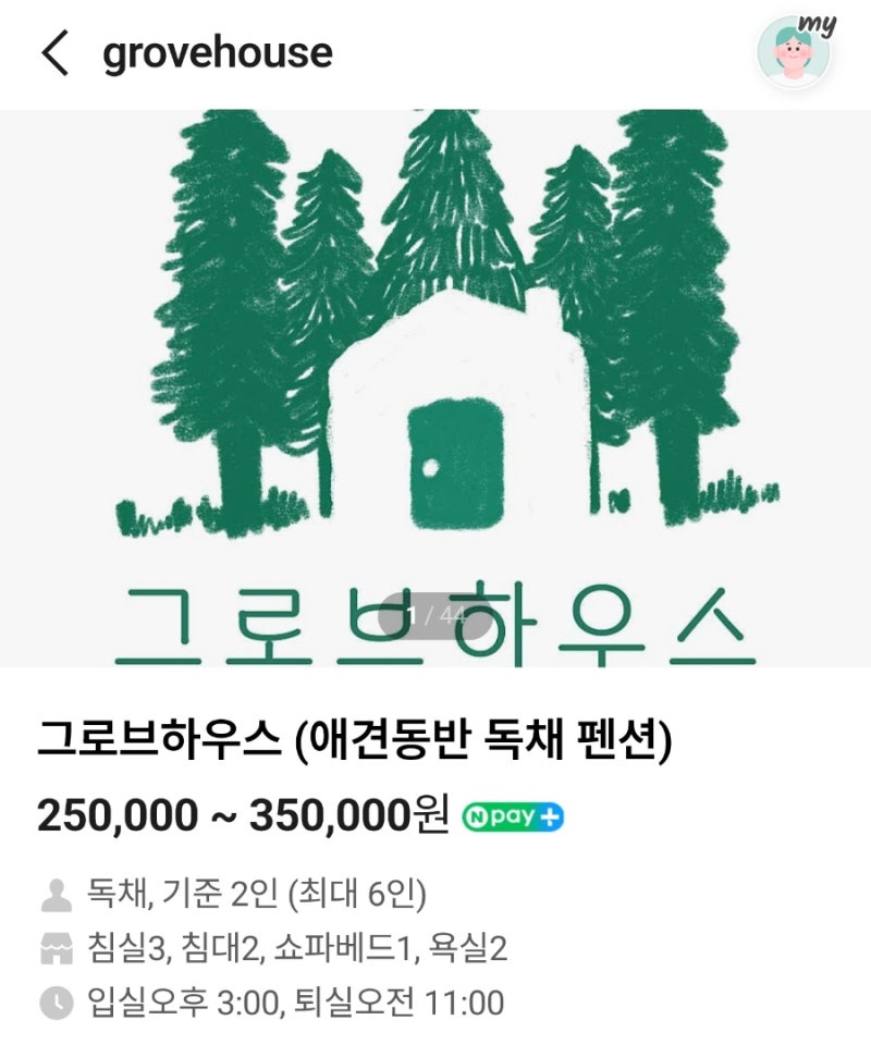사진 2
