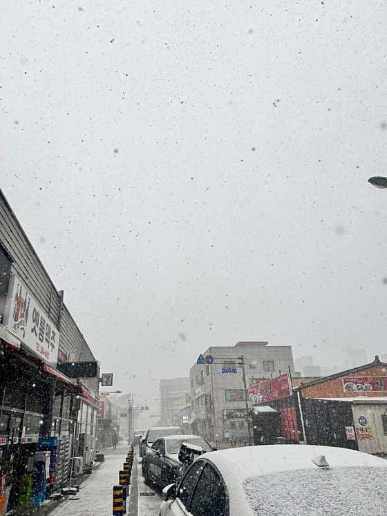 투썸플레이스 전북부안점 사진 5