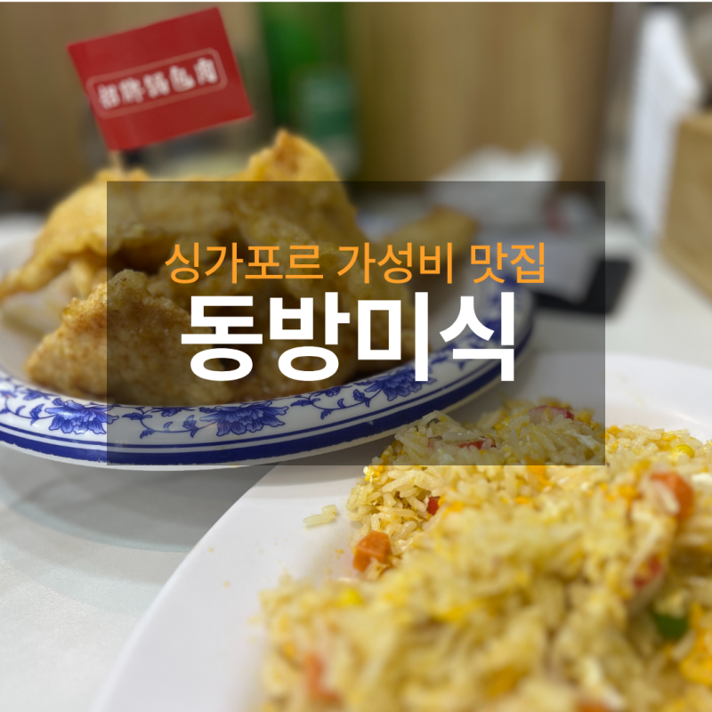 [싱가포르 차이나타운 가성비맛집] 동방미식 내돈내산 후기/ 꿔바로우·양꼬치·볶음밥 메뉴....