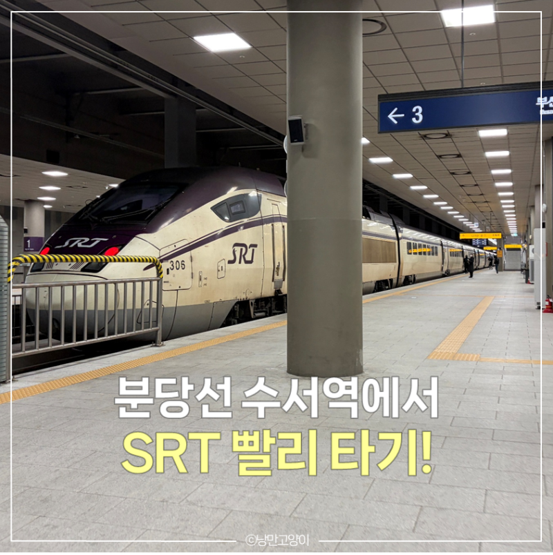 SRT수서역 빨리 타는법 | 분당선 환승 6분컷 (5번출구, 분당선 왕십리방면 기준)
