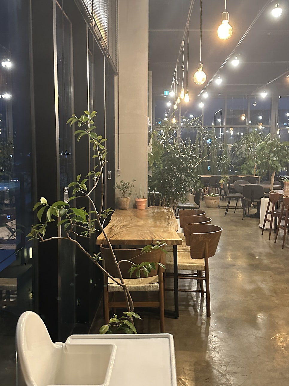 오밀 사진 6
