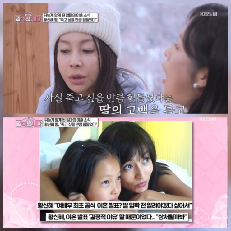 황신혜 이혼 딸 이진이 기사 통해 알았다 힘들었다 근황