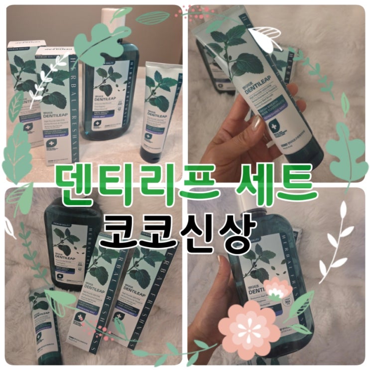  코스트코신상치약 덴티리프치약가글세트｜가성비 끝판왕 코스트코 추천 구강케어 기프트