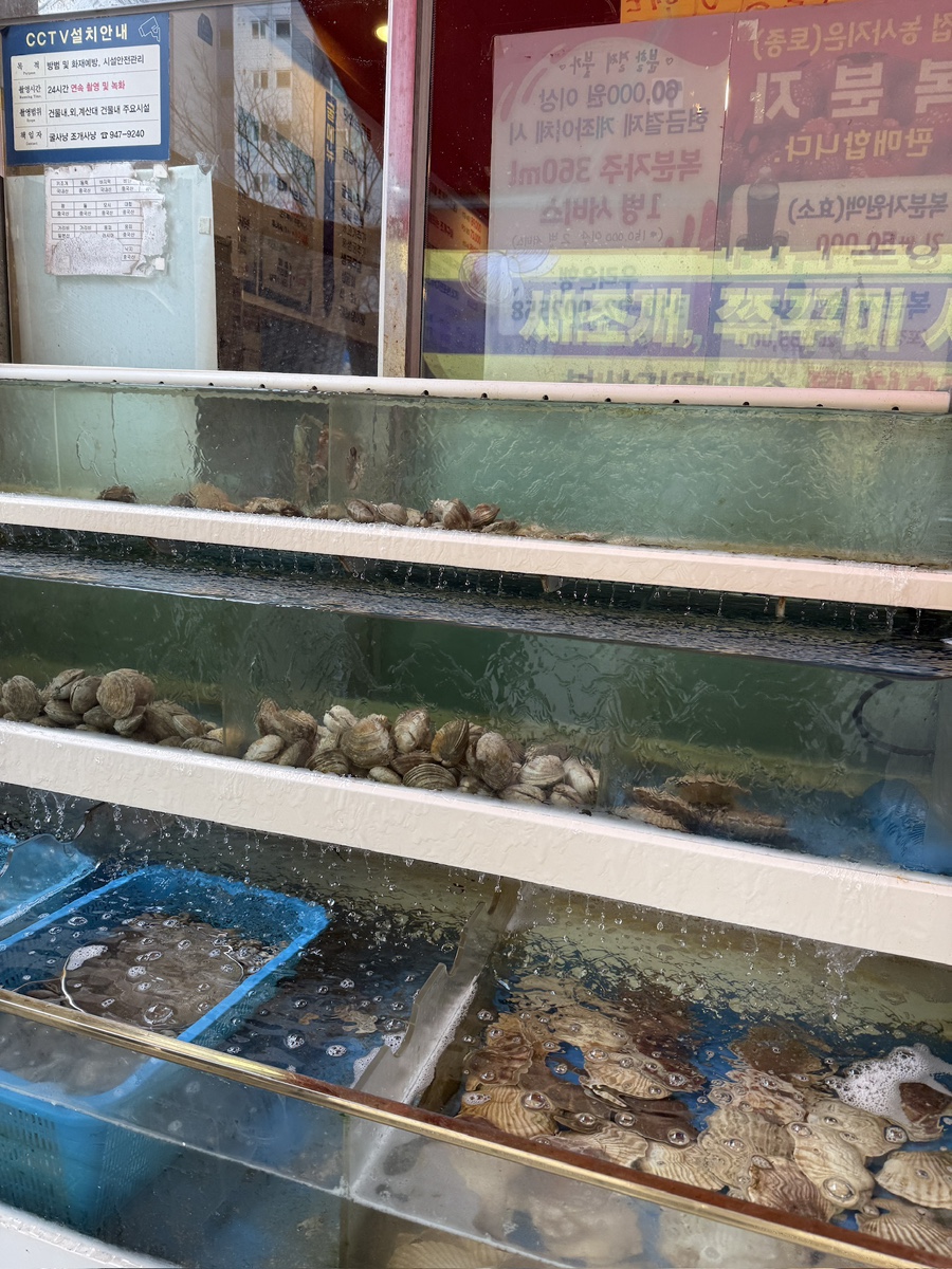 굴사냥조개사냥 운정점 사진 3