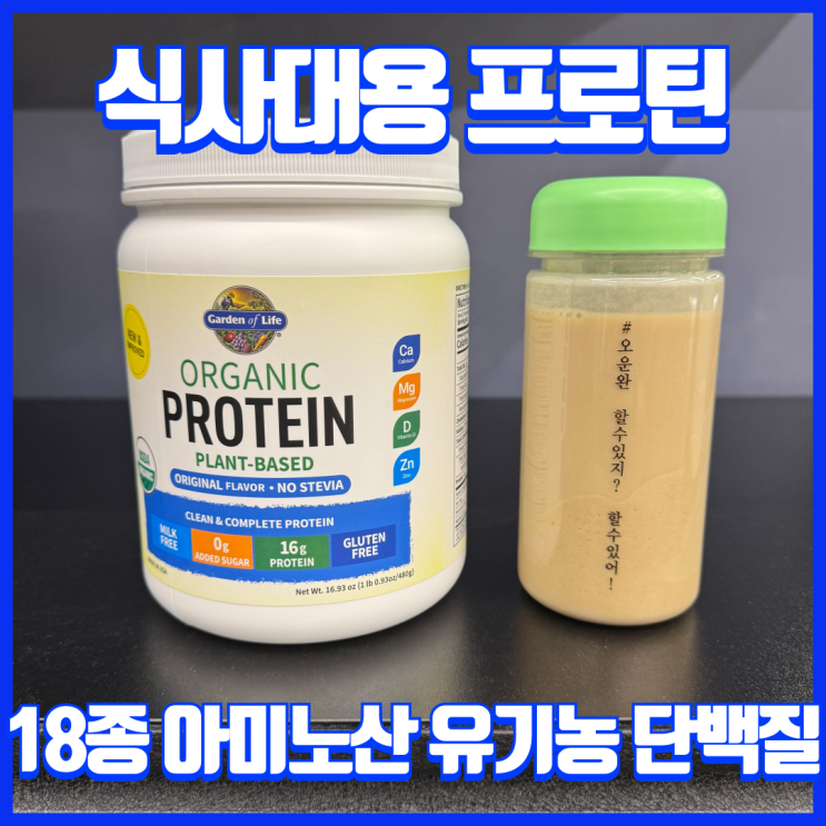  식사대용 프로틴 추천! 유기농 식물성 단백질 보충제