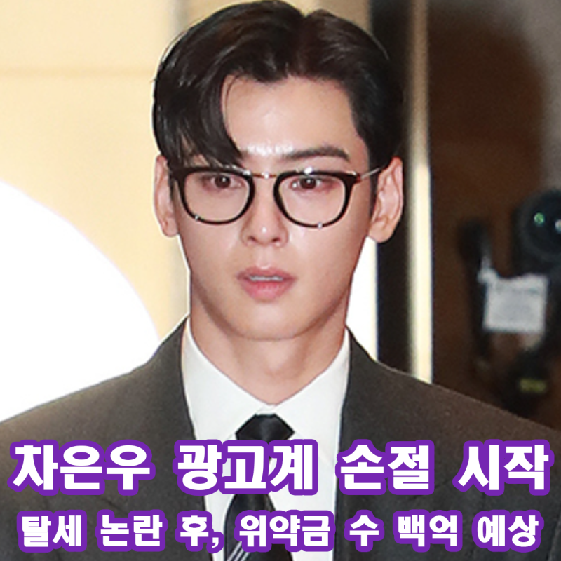 차은우 광고계 손절 현실 탈세 논란 이후 뷰티 금융 연달아 손절 위약금 수 백억 예상