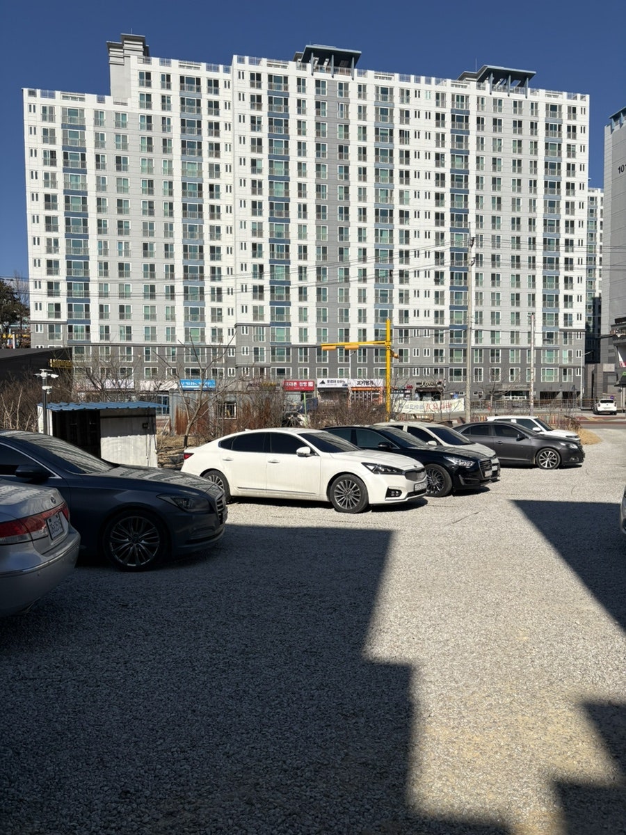 카페조아햇살좋은날 사진 6