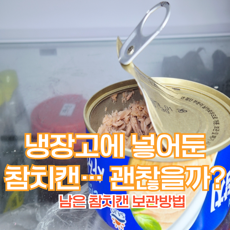 남은 참치캔 보관 방법, 냉장 보관해도 위험한 이유와 기준