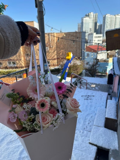 사진 5