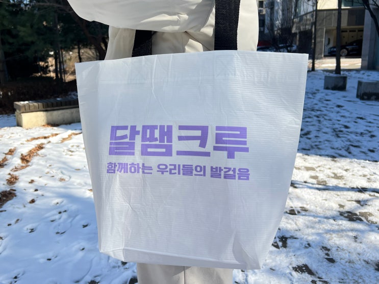  친환경 단체 가방 리유저블백 R-PET 중형 로고 양면인쇄 제작 추천