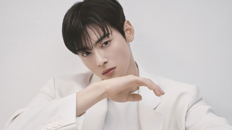 2천만 뷰 영상도 '삭제'… 차은우 광고계 손절 현실, 브랜드들 왜?