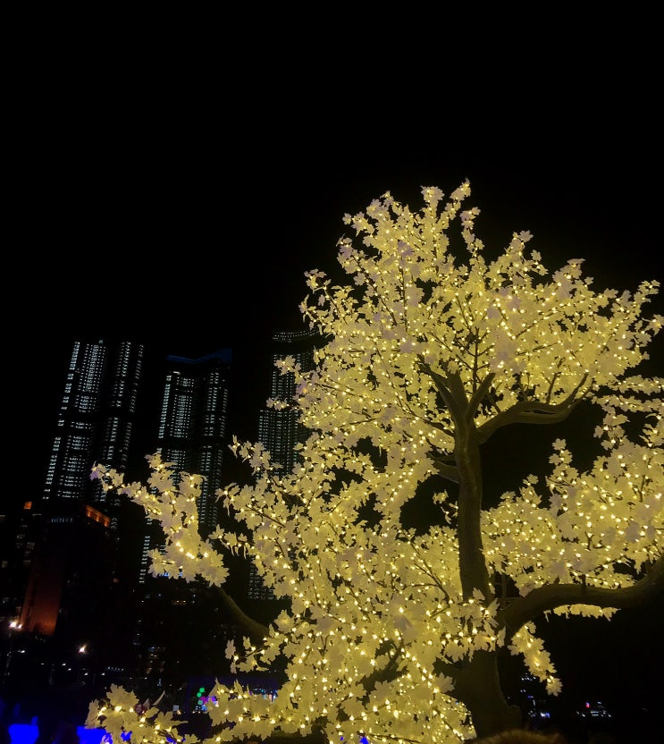  부산 2월 축제·행사·전시 총정리