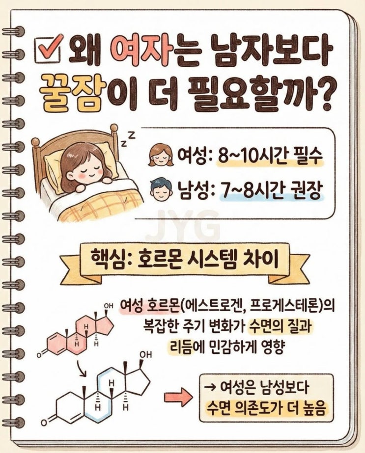 여성호르몬과 남성호르몬의 비교와 특징