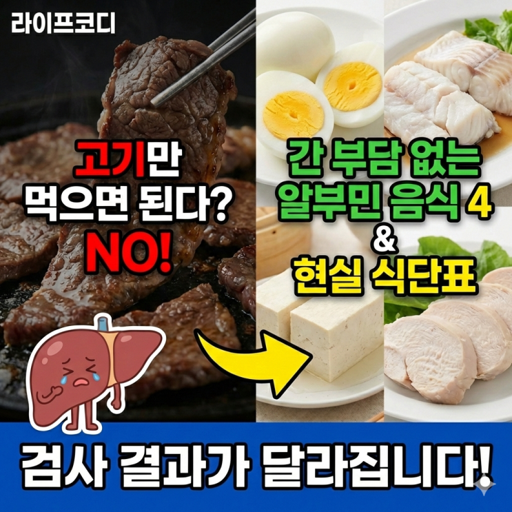  알부민 수치 낮을 때 '이것'부터 드세요 (현실 식단표 공개)
