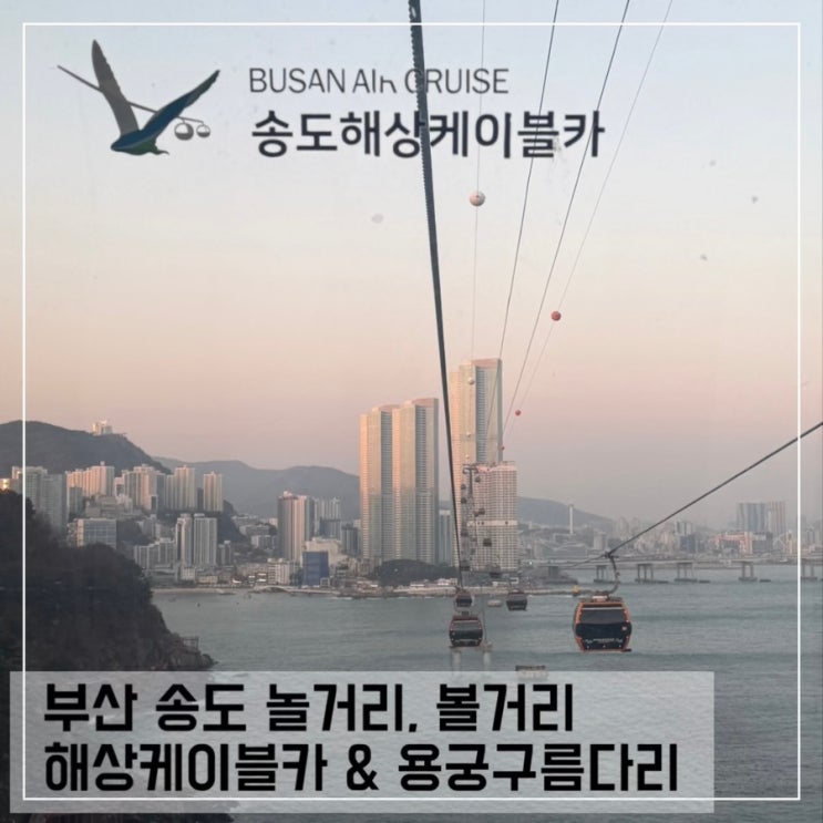  부산 송도 해상 케이블카 크리스탈 왕복 & 송도 용궁 구름다리 후기