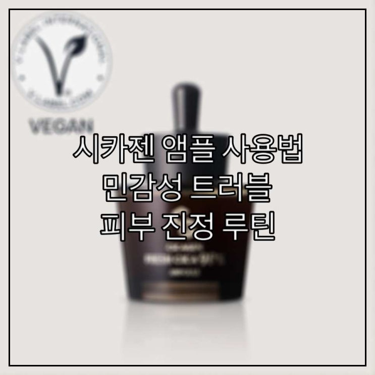 시카젠 앰플 사용법 | 민감성 트러블 피부 진정 루틴