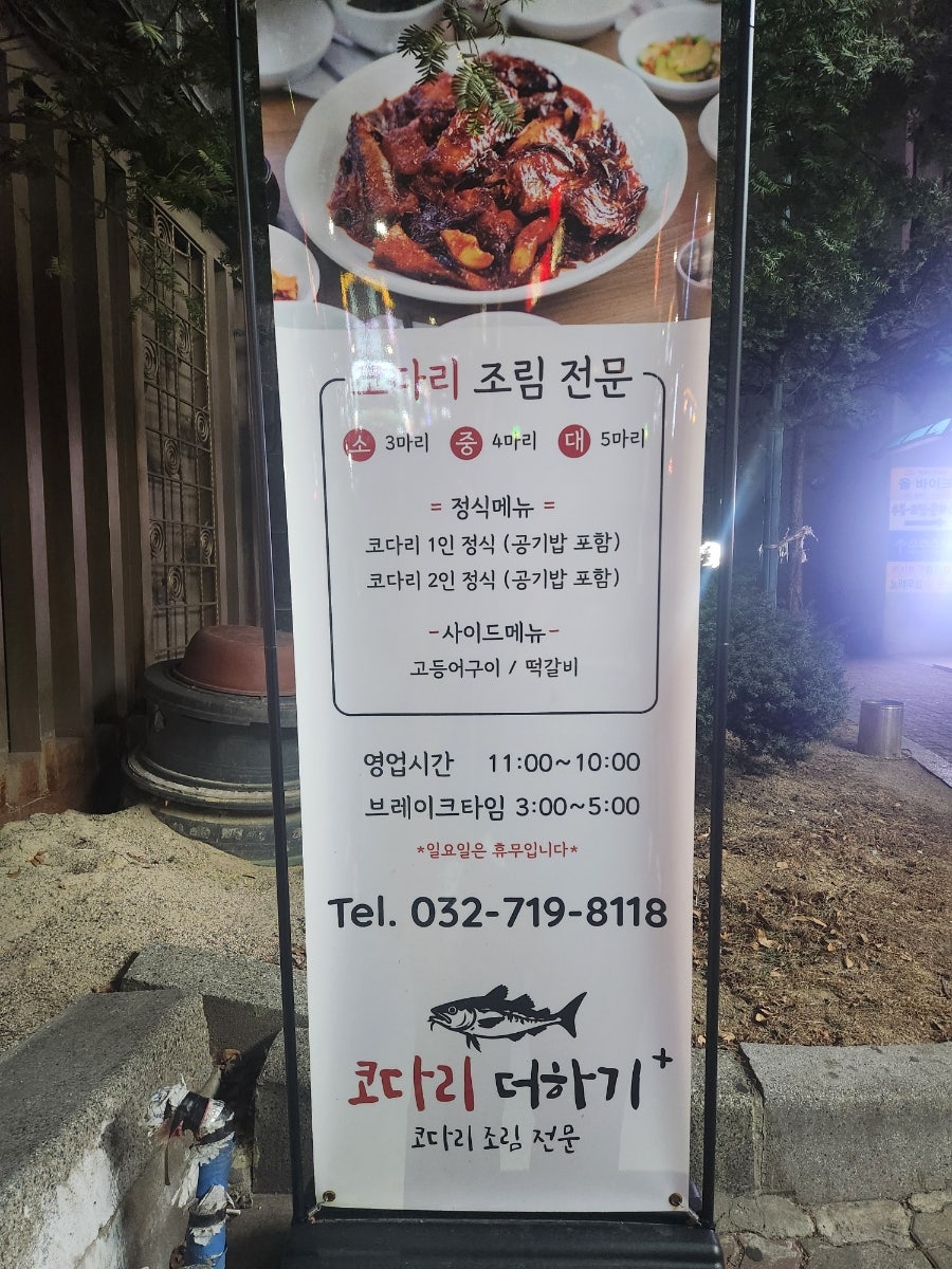 코다리더하기 사진 2