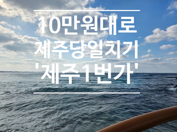  10만 원대로 제주 당일치기? 강블리의 '제주1번가' 버스투어 리얼 후기