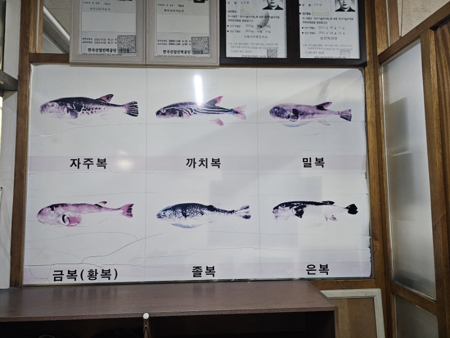 해성복어 사진 6