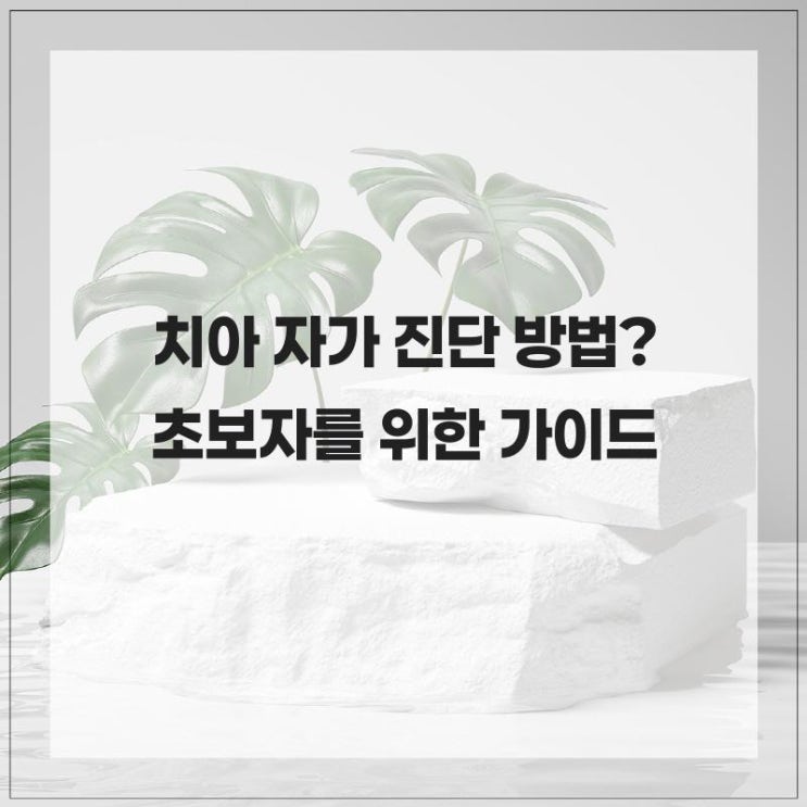  주기적으로 할 수 있는 치아 자가 진단 방법? 초보자를 위한 가이드