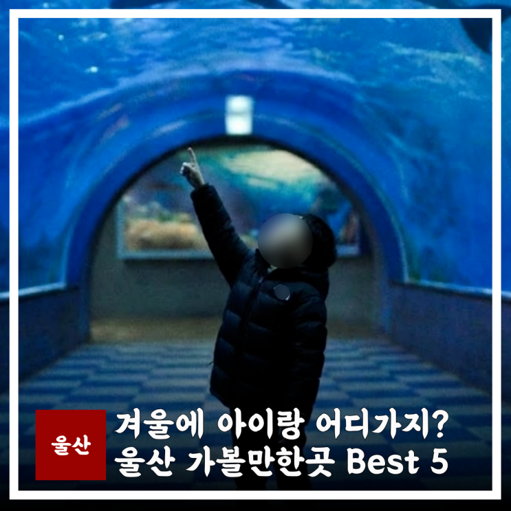  울산 가볼만한곳 겨울 BEST 5, 아이랑 가기 좋은 곳
