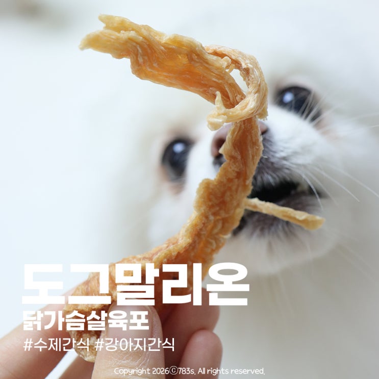  노령견간식으로 좋은 부드러운 도그말리온 닭가슴살육포