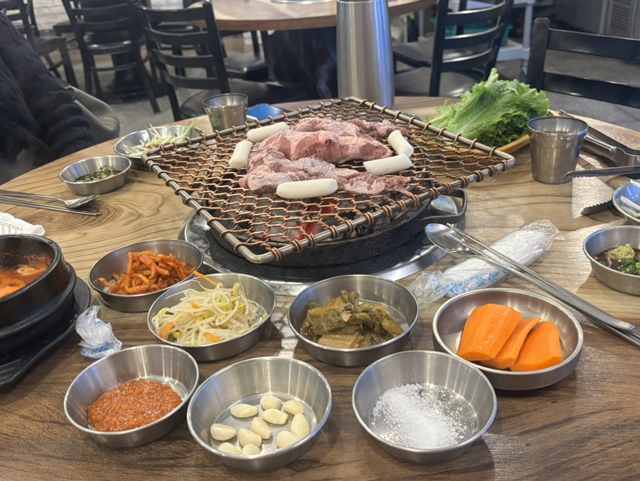 선운갈매기 사진 5