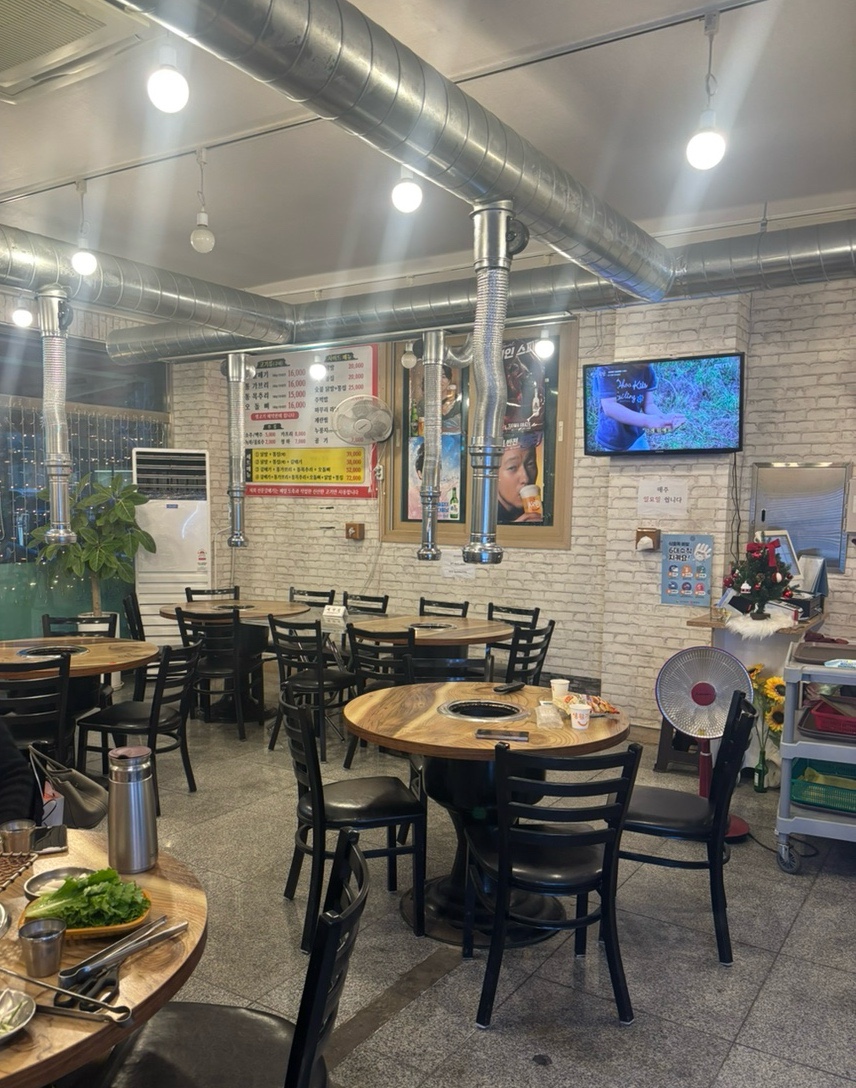 선운갈매기 사진 2