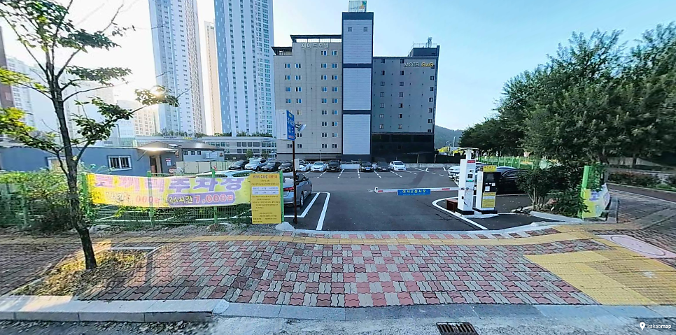 일락 사진 2