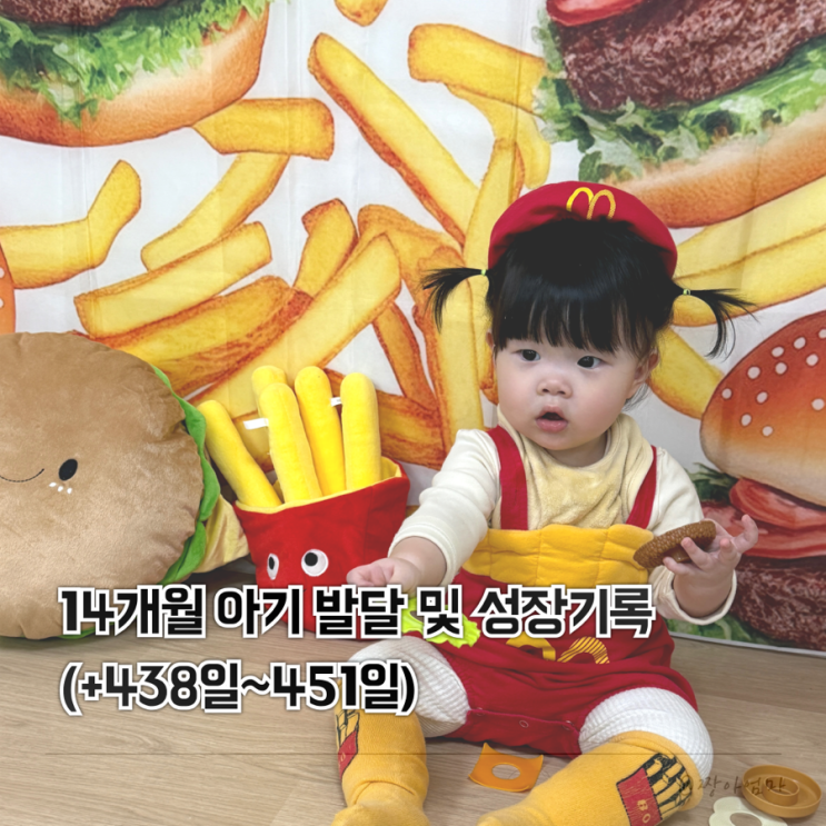  14개월 아기 발달 및 성장기록 (+438일~451일)